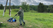 Можно ли косить мокрую траву триммером или газонокосилкой - запомните раз и на всю жизнь