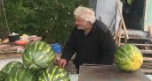 Лакомство без больницы: как выбрать, хранить и давать арбуз ребёнку: правила, о которых молчат продавцы 