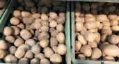 Не только зеленый цвет: названы признаки опасного картофеля
