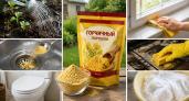 Дешевую горчицу в порошке с Ozon скупаю пачками — но не для кулинарии: на даче и в быту заменяет сразу 5 дорогих средств