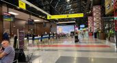 Топор, лопата и наручники: что пассажиры забывают в аэропорту Внуково