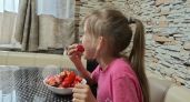 «Не хочу, не буду!»: как приучить ребёнка к новым блюдам без слёз и скандалов