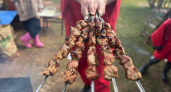 1 щепотка в маринад — и шашлык сочный, мягкий, с хрустящей корочкой: получается вкуснее, чем в Армении