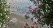 Не просто «всё включено»: тревел-блогер составила рейтинг лучших курортов Турции для активных туристов