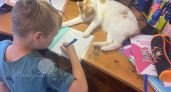Этим школьникам запретили учиться во вторую смену: новые правила Минпросвещения