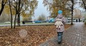 Ребёнок не хочет никому давать свои игрушки. Нужно ли учить его делиться?