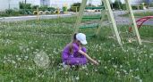 Маленький наблюдатель: как помочь стеснительному ребёнку сделать первый шаг