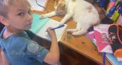 Ребенок приносит "двойки" с начала учебного года: что тут не так? Разбираемся в феномене