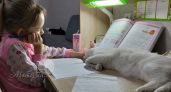 Помогать ли ребенку с домашним заданием? Как не превратить помощь в самостоятельную работу родителя