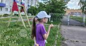 Кто ваш ребенок: «орхидея» или «одуванчик»? Любопытная типология XXI века для родителей