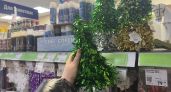 Что купить к Новому году прямо сейчас, чтобы потом не пожалеть о собственной беспечности