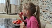 Ребёнок-малоежка: стоит ли переживать, что он «ничего не ест»