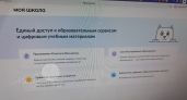 Система "Моя школа": в каких регионах работает и когда заработает по всей России - "Элжур" останется в прошлом