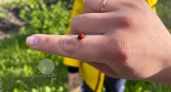Привычки, которые мешают жить лучше: что говорят психологи