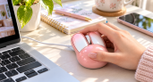 Эту мышку из Fix Price берут не ради курсора: 4 неожиданных применения за 199 ₽