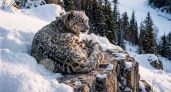 23 октября: какие праздники этого дня можно отметить вместе с ребенком