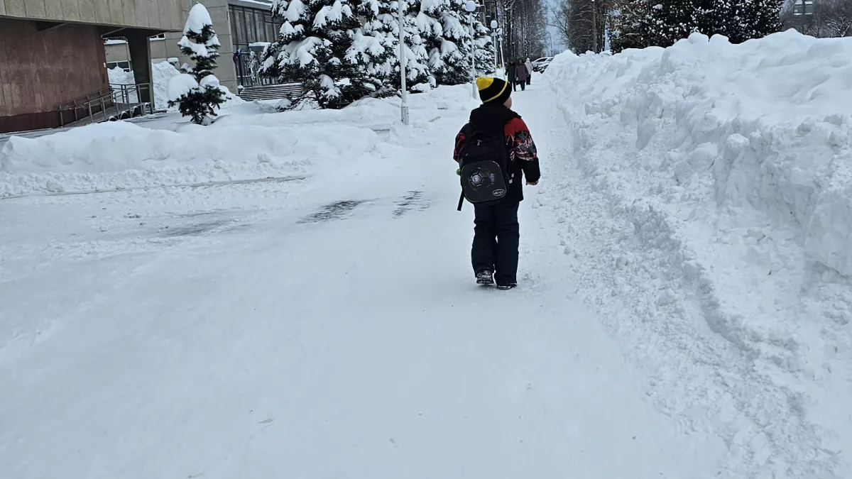 В Госдуме предложили должникам по алиментам запретить регистрировать авто и открывать счета