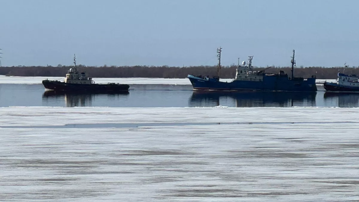 В Подмосковье водолазы третий день ищут провалившихся под лед детей