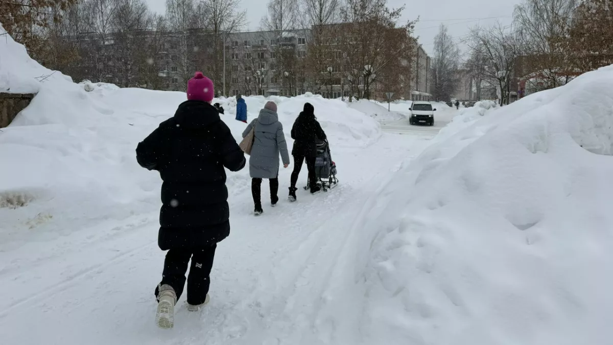 Может ли бабушка оформить опекунство над внуками: полный разбор прав и процесса