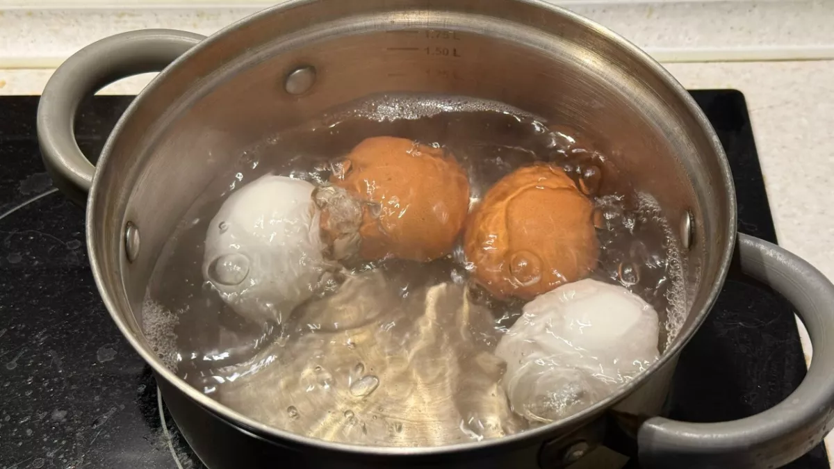 Сколько яиц в день можно есть: наконец-то дан четкий ответ