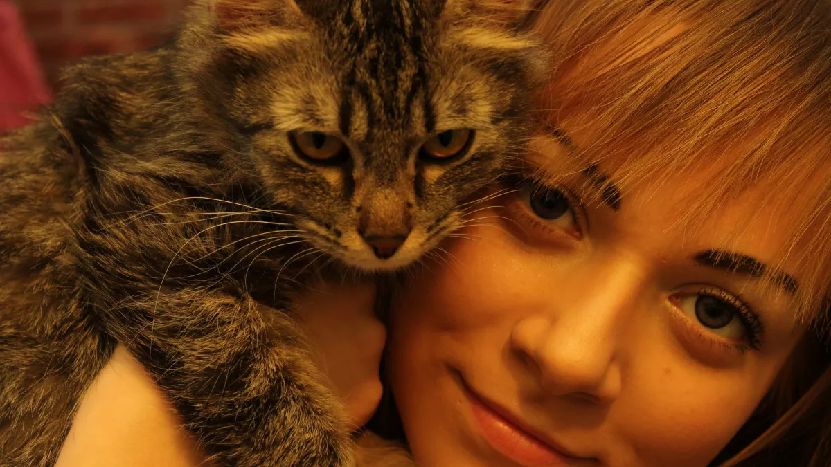 Встретят старость с кошками: эксперты назвали имена женщин, которые обречены на одиночество