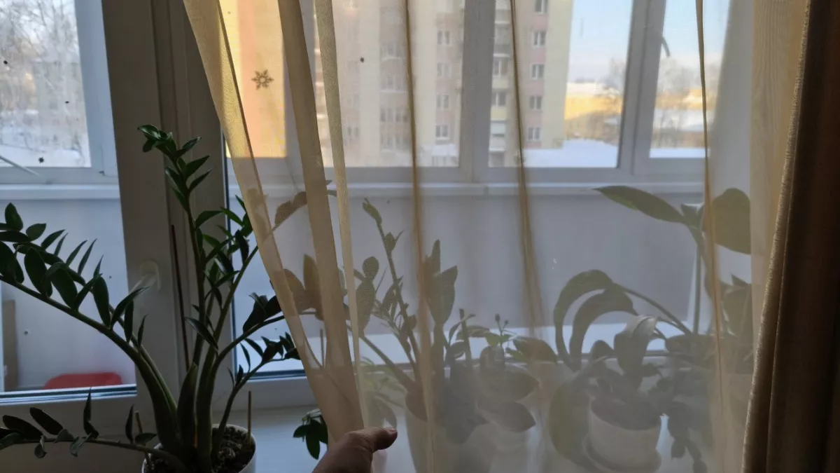 Такие шторы больше не в тренде - даже богатый интерьер превращают в "колхоз": дизайнеры объяснили, как исправить