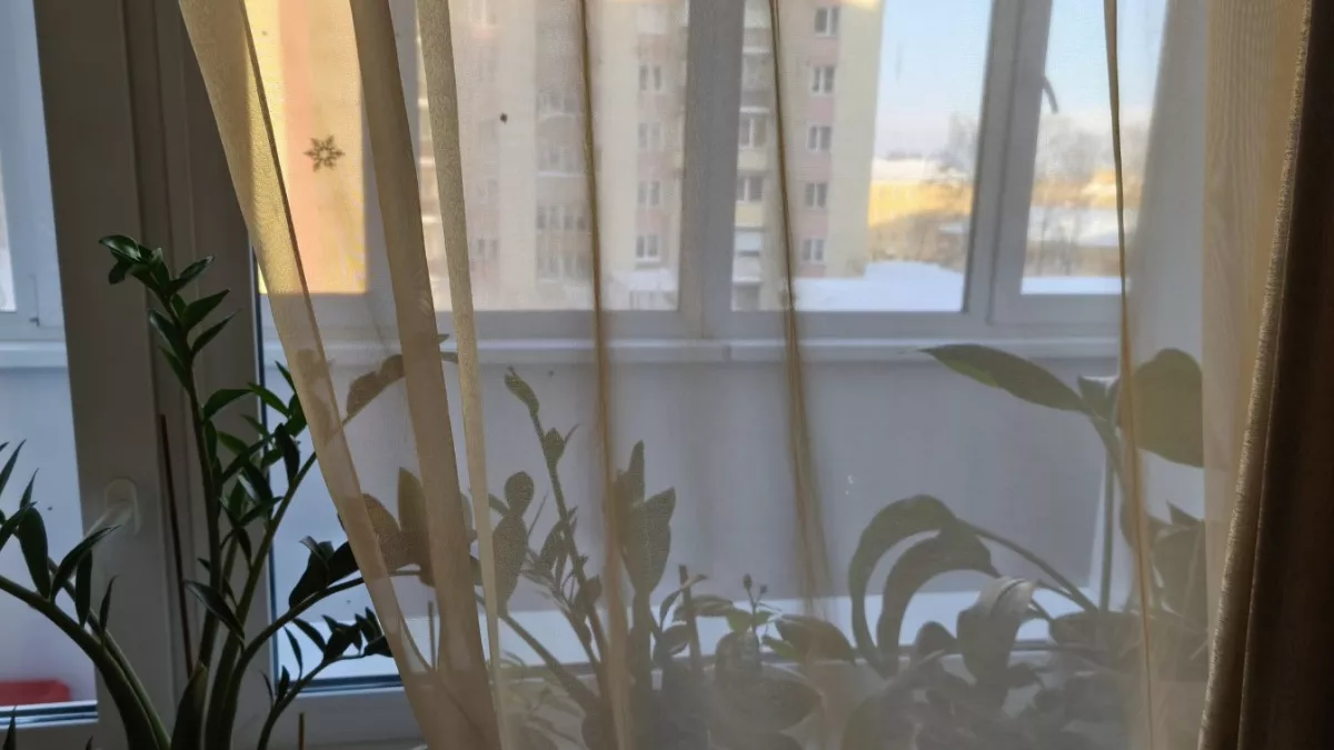 Старый тюль никогда не выбрасываю - он здорово выручат в хозяйстве: 10 лайфхаков для ушлой хозяйки