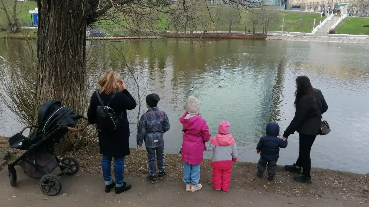 Зачем нужен статус многодетной семьи и как его получить: юридические нюансы