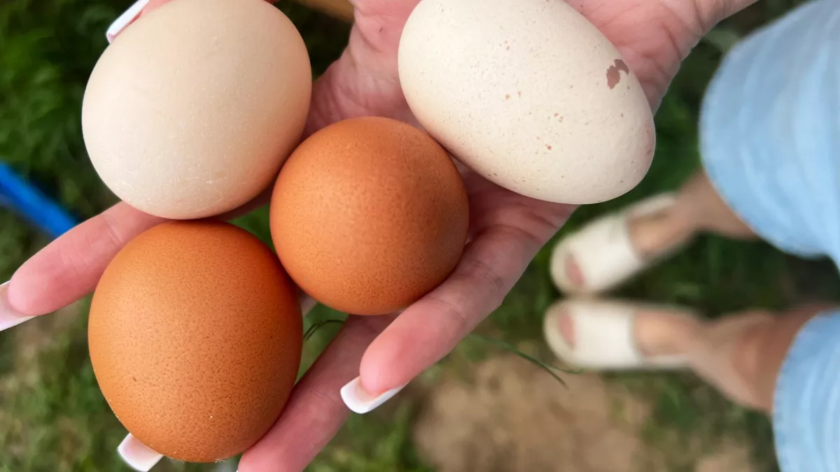 Больше не переживаю, что не успела купить белые яйца к Пасхе: вот как крашу темные - получается даже лучше