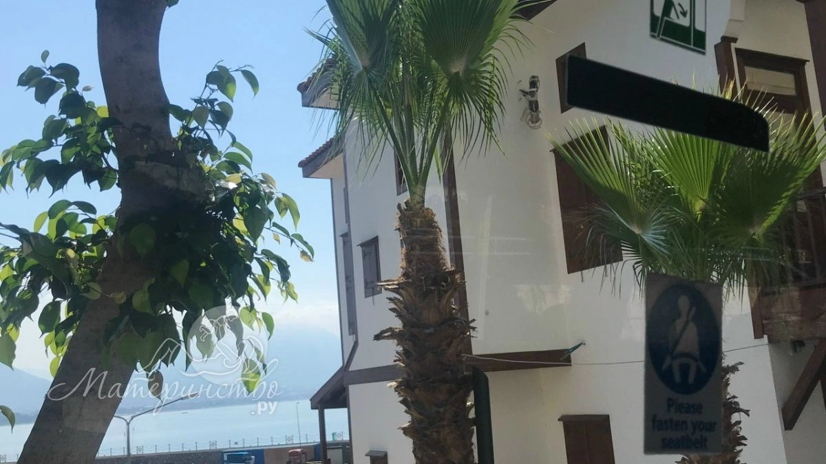 Даже собственных детей: что забывают туристы в отелях Турции