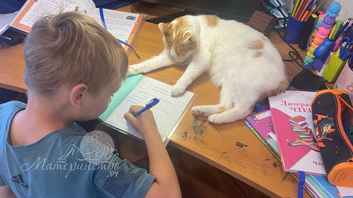  СПЧ заявил о провале инклюзивного образования в России