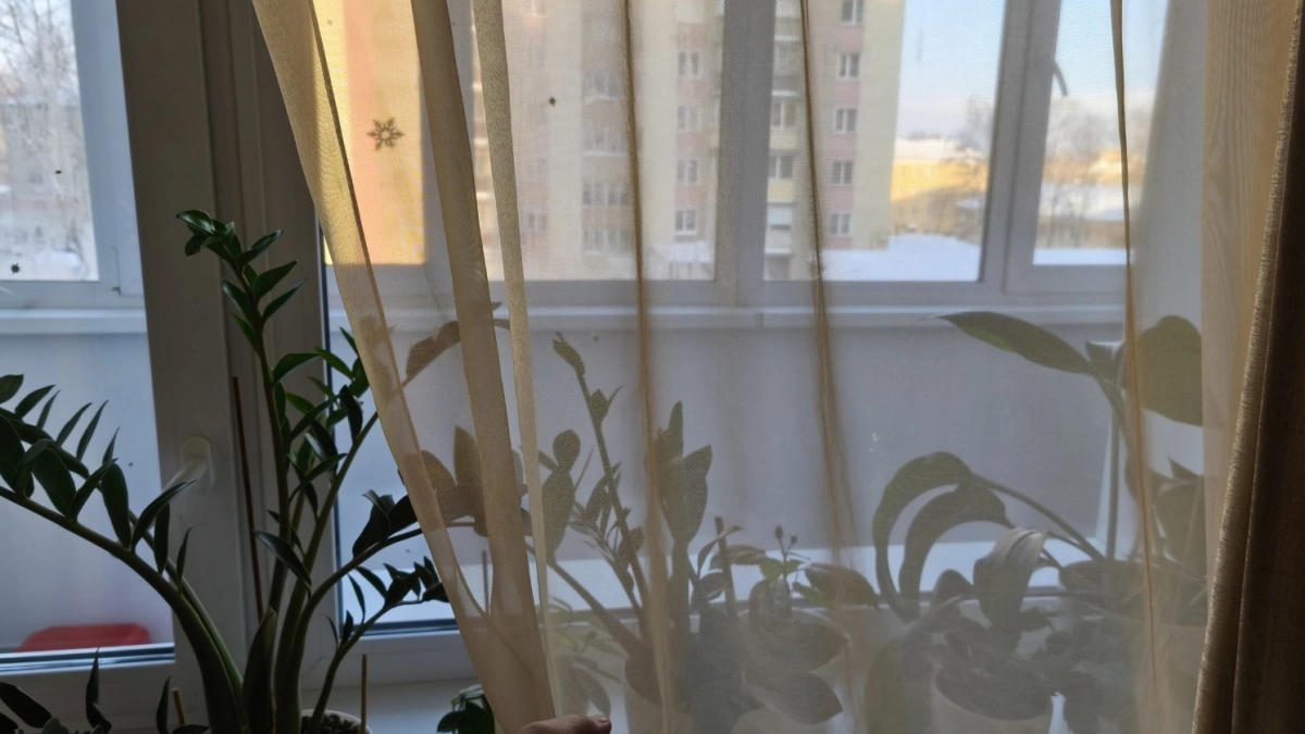 Так вешать шторы больше не модно: дизайнеры назвали 3 ошибки и как их исправить