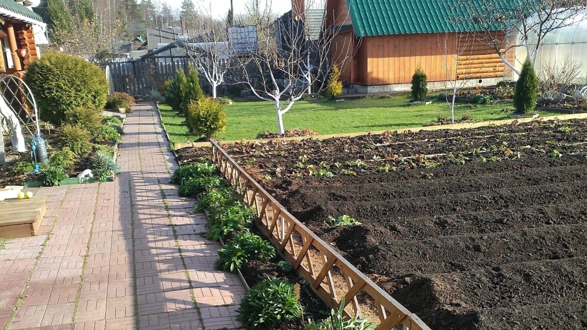 Мощнее навоза и помёта: разбрасываем это удобрение по грядкам в конце марта — и уже к апрелю почва становится рыхлой и п