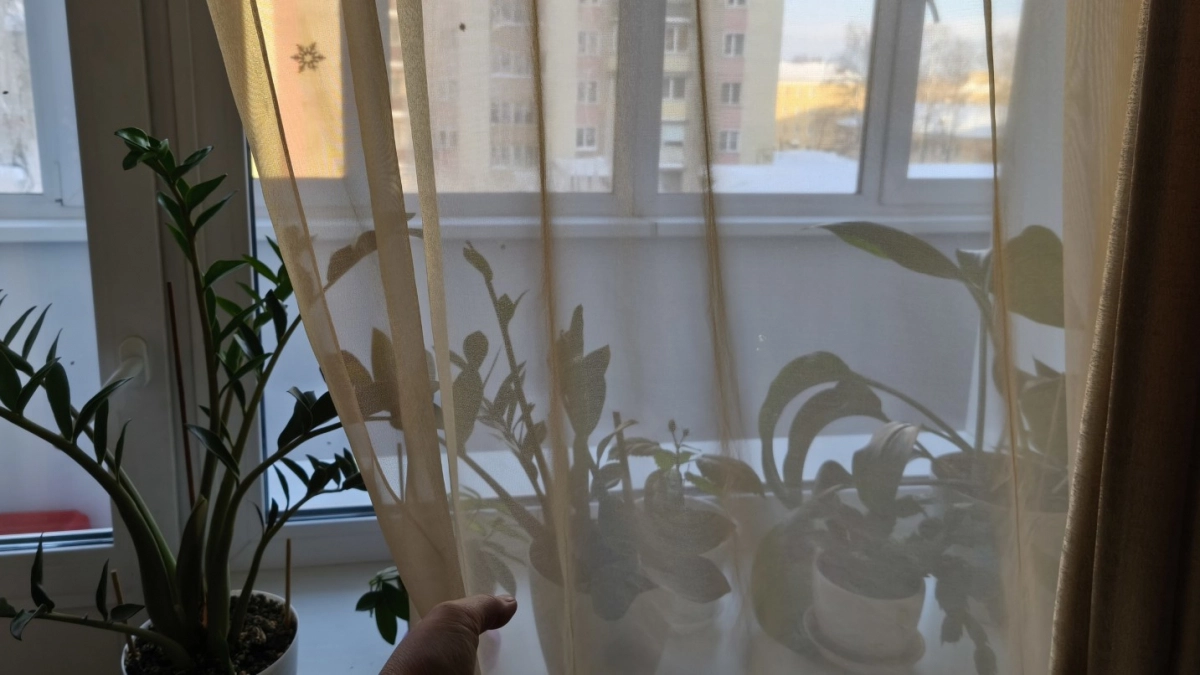 Обычные шторы больше не в моде - вот 8 шикарных идей для трендового ремонта: умные хозяйки выбирают их