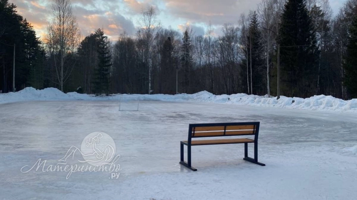 В Черняховске пьяная мать не заметила, как ее 4-летний сын провалился под лед городского озера