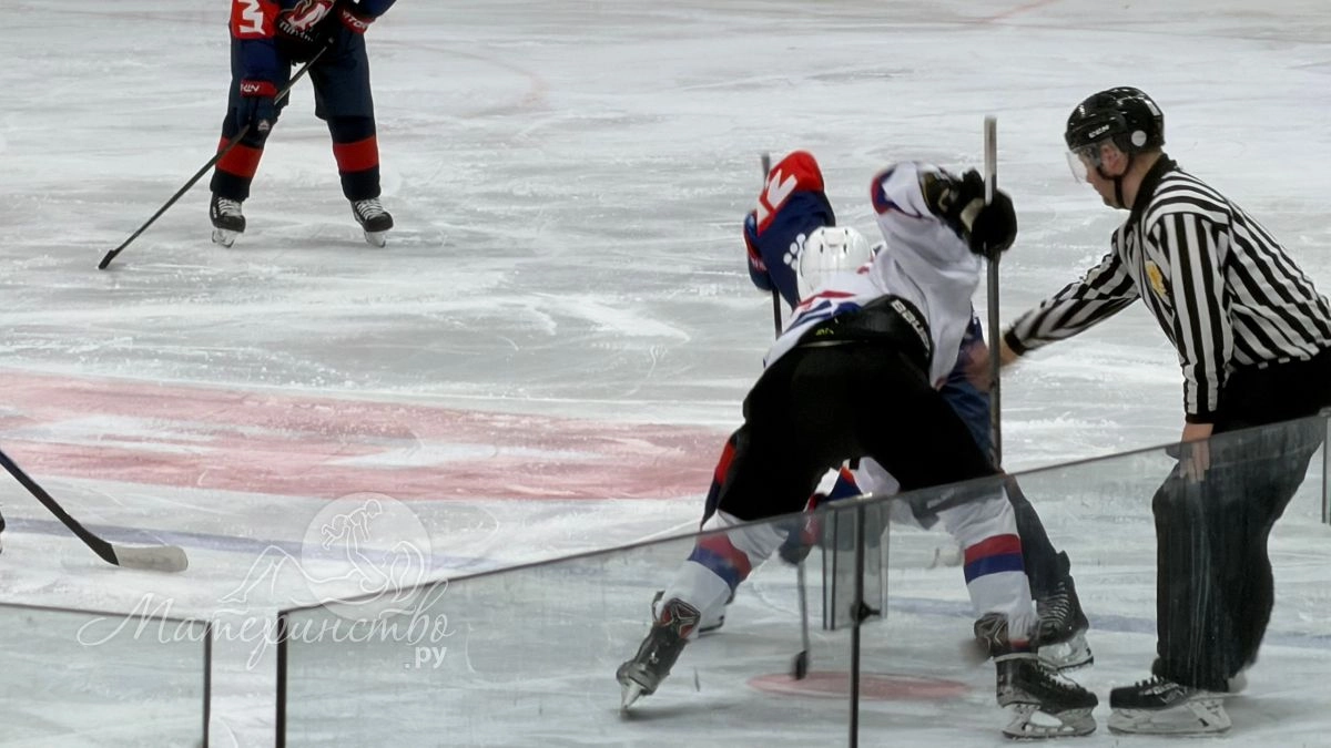 Мать Овечкина раскрыла планы сына после завершения карьеры в НХЛ