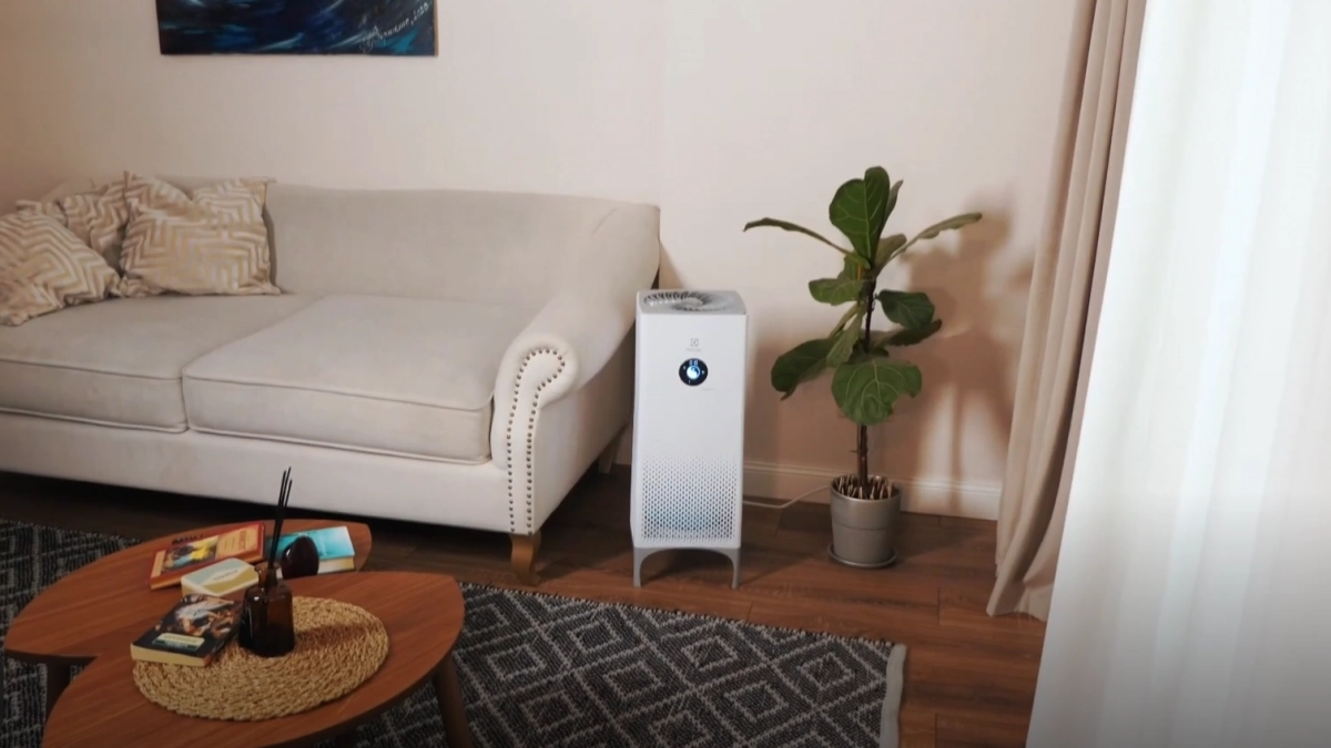 Наладила сон и избавилась от вечного насморка: теперь дышится как в еловом лесу - выбираем увлажнитель воздуха для дома