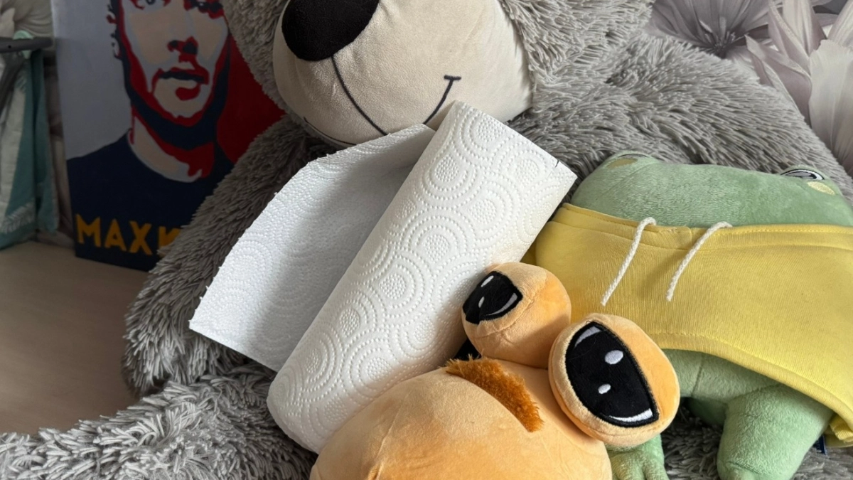 7 вещей в доме, которые нельзя протирать бумажным полотенцем - иначе быть беде: запомните раз и навсегда