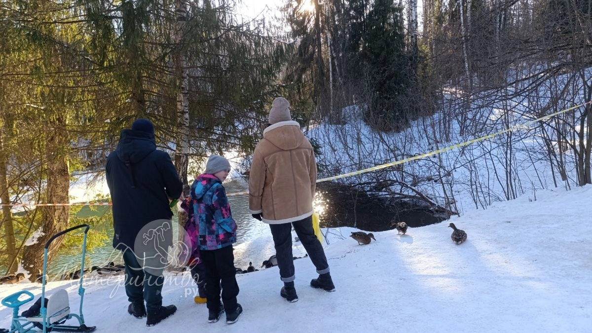 Минздрав установил границы репродуктивного возраста для мужчин в России