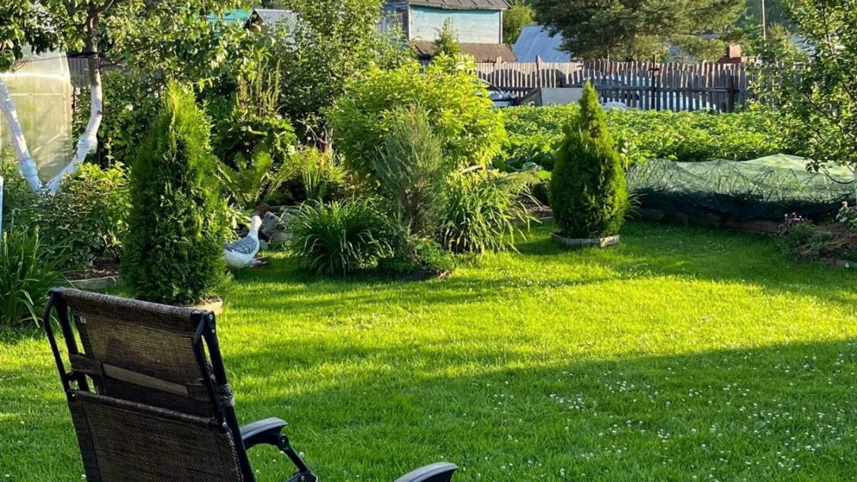 Бетон для садовых дорожек больше не в моде: ушлые хозяева нашли альтернативу - так делают в Финляндии 