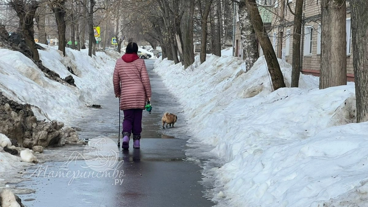 В Госдуме предложили выплачивать алименты детям-инвалидам за счет государства