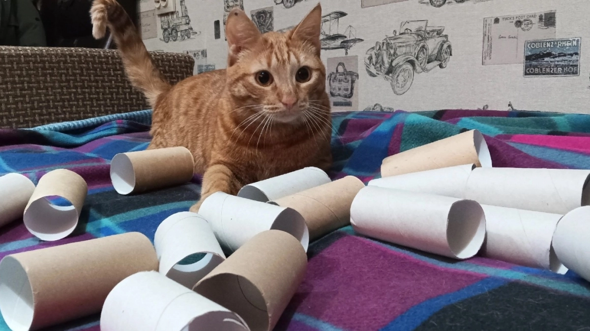 Картонные втулки не выбрасывайте: 5 дачных хитростей, которые экономят время и деньги