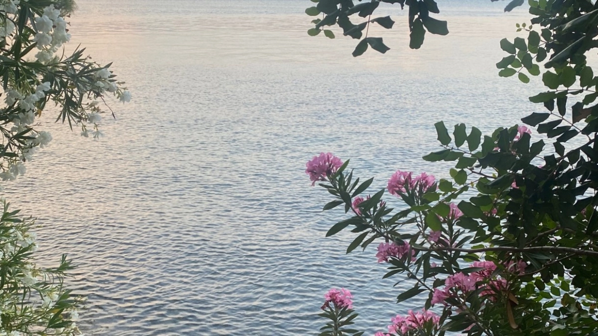 Поселок на берегу моря, есть работа и школа - а жители бегут без оглядки. Оказывается, есть логичная причина