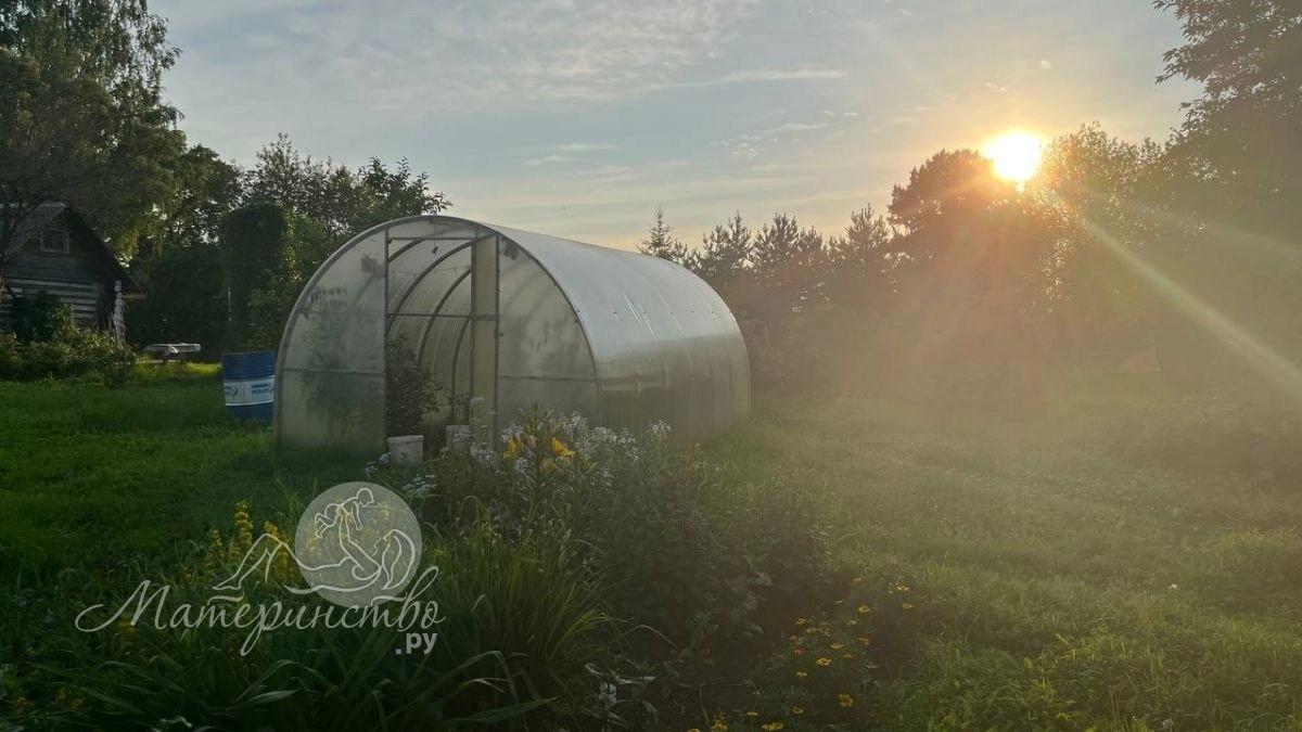 Закон вступил в силу в апреле 2026: многодетные семьи защитили от приставов