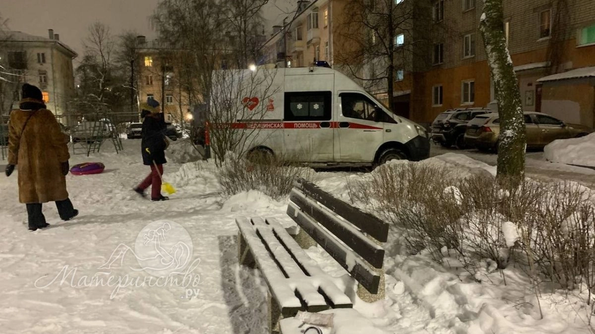 В США мать спасала дочь от Илона Маска и зарезала ее 