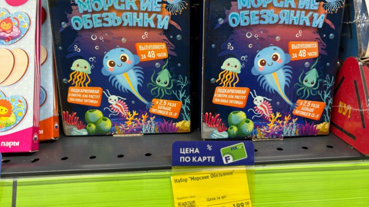 В Фикс Прайсе нашла отличные развивашки для детей - даже самой стало интересно: показываю фото и цены