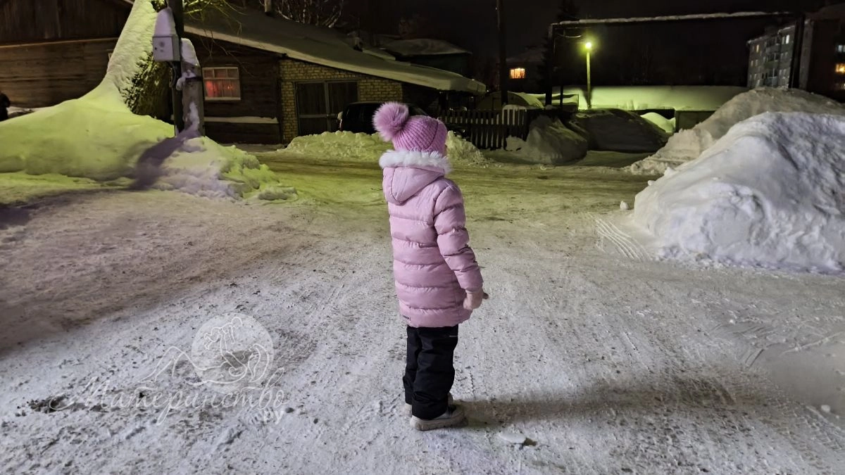 В Ульяновской области родители-сектанты посадили 10-летнюю дочь за забор