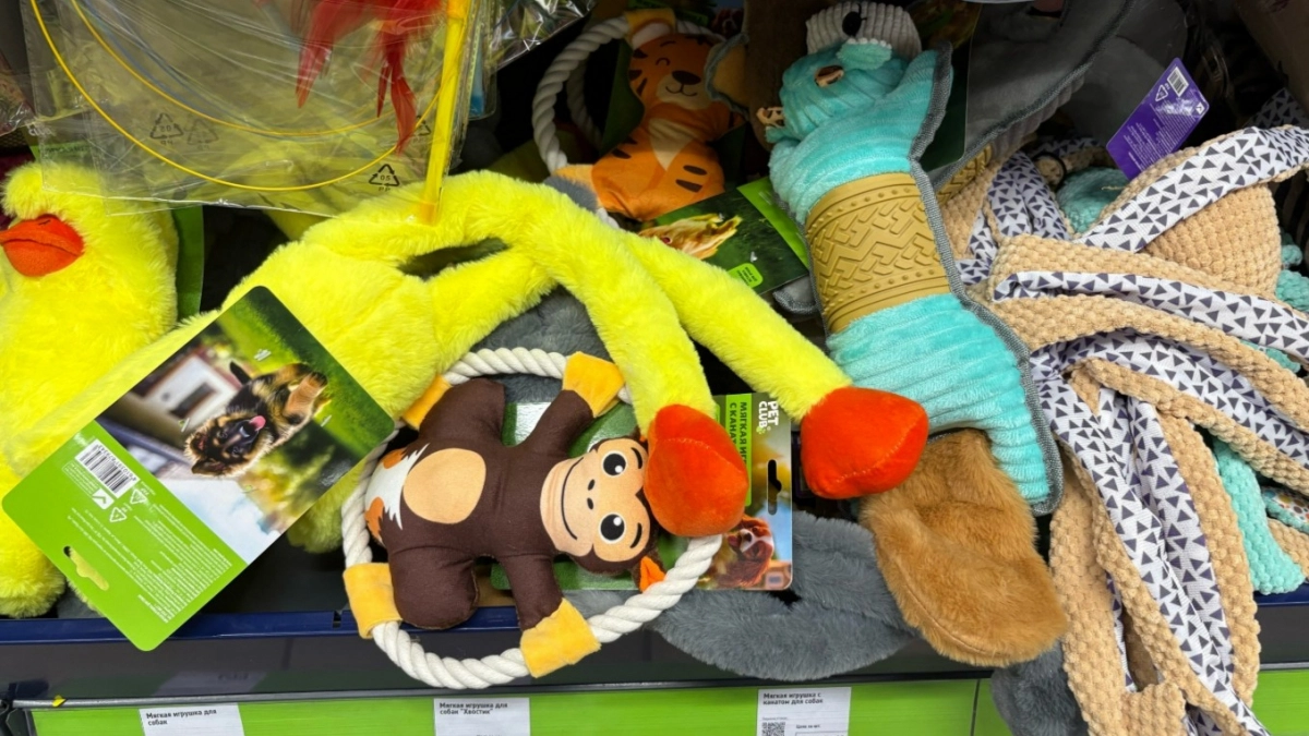 В Фикс Прайсе новинки: нашла 5 классных товаров для собак - хозяева, берите на заметку