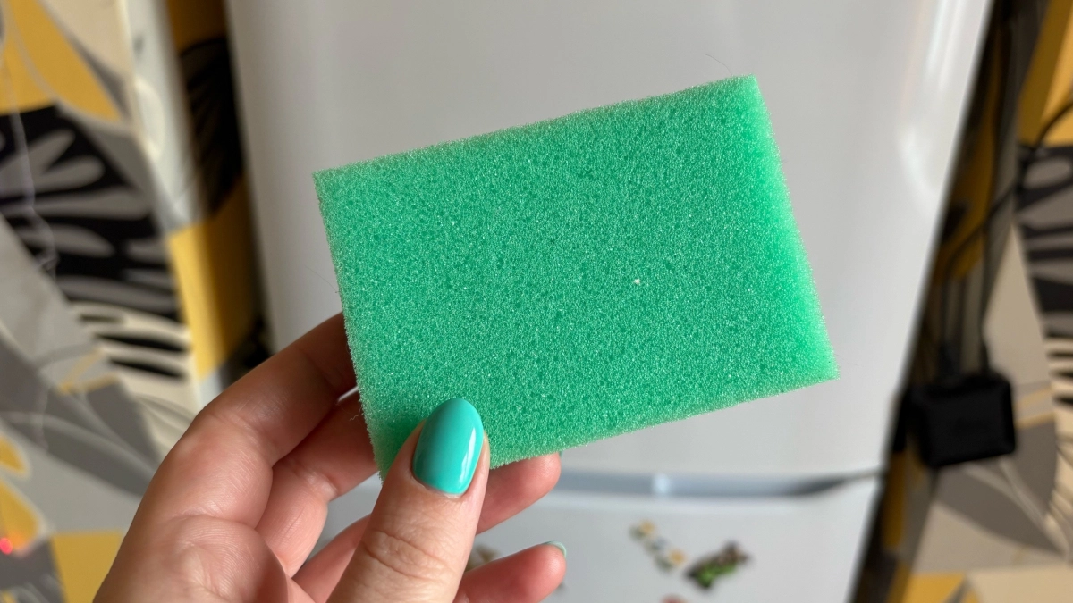 Зачем опытные хозяйки кладут обычную губку в холодильник: хитрость, о которой мало кто знает