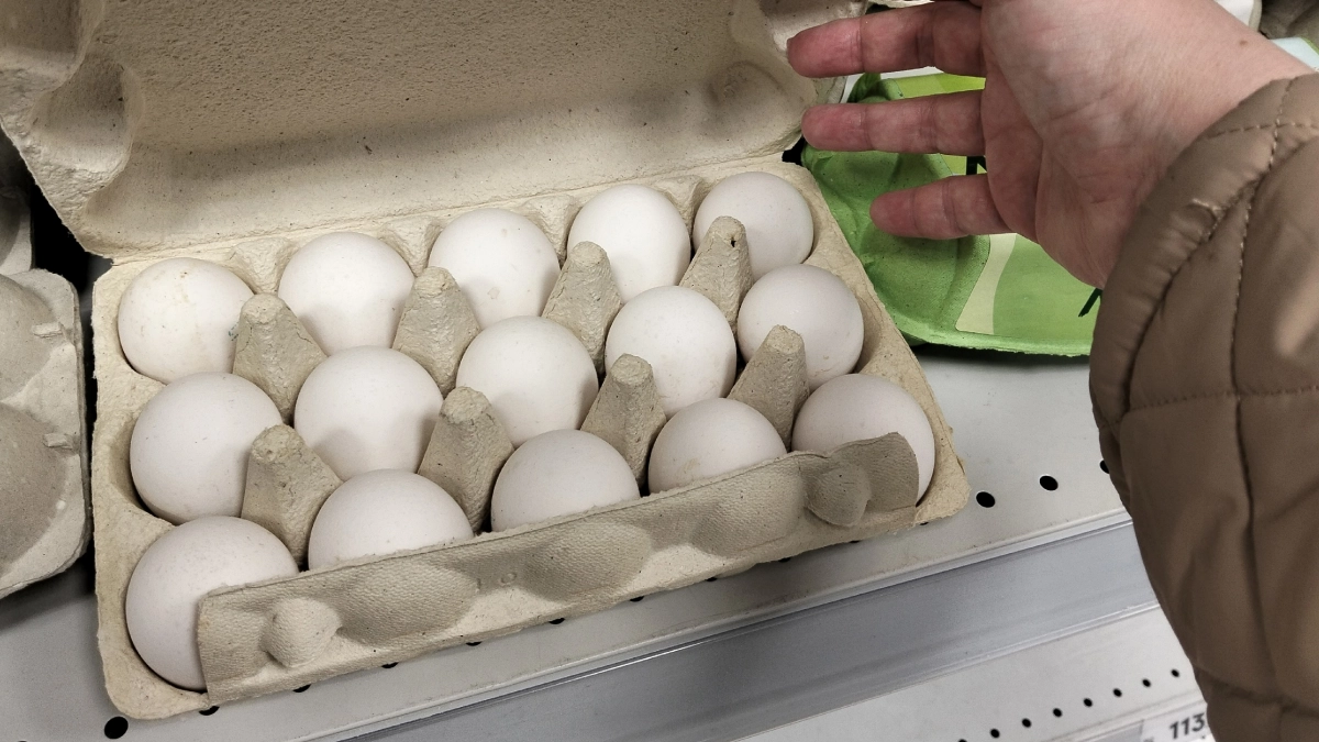 Можно ли есть яйца с красными пятнами в желтке? Запомните это раз и навсегда